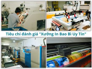 Xưởng In Bao Bì Uy Tín